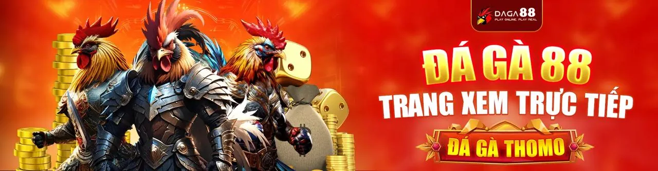 Hình ảnh chính sách quyền riêng tư của dbet casino, biểu tượng bảo vệ dữ liệu và an toàn